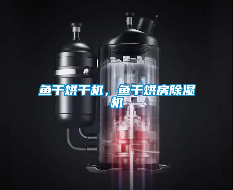 魚干烘干機(jī)，魚干烘房除濕機(jī)