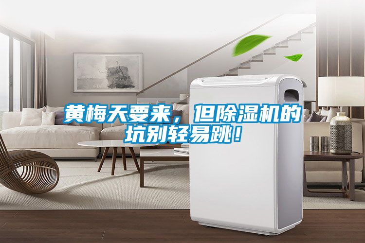 黃梅天要來，但除濕機的坑別輕易跳！