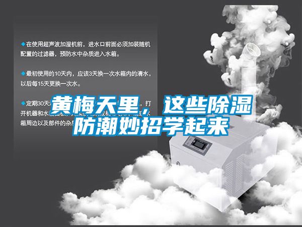 黃梅天里，這些除濕防潮妙招學(xué)起來(lái)