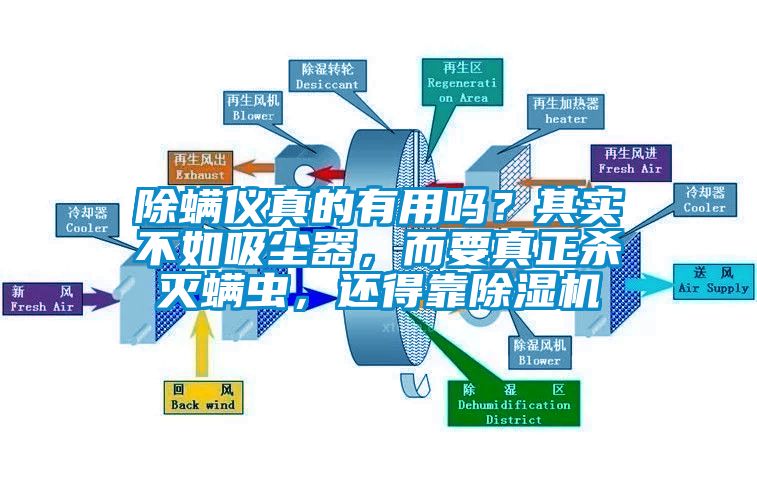 除螨儀真的有用嗎？其實不如吸塵器，而要真正殺滅螨蟲，還得靠除濕機