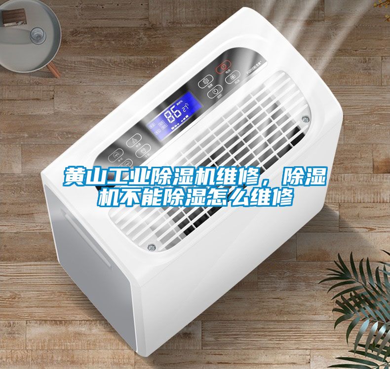 黃山工業(yè)除濕機(jī)維修，除濕機(jī)不能除濕怎么維修