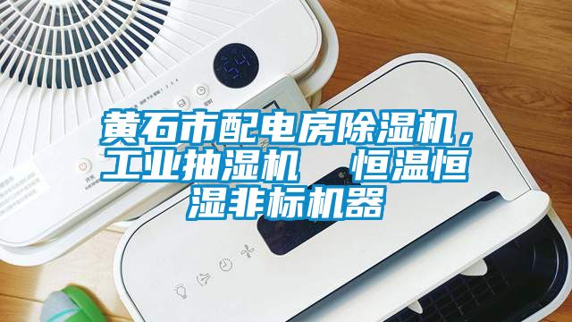 黃石市配電房除濕機(jī)，工業(yè)抽濕機(jī)  恒溫恒濕非標(biāo)機(jī)器